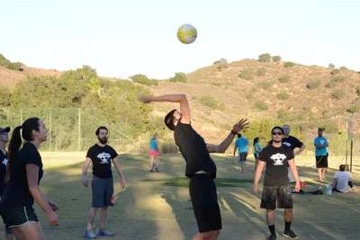 DSC_5239 (Large).JPG